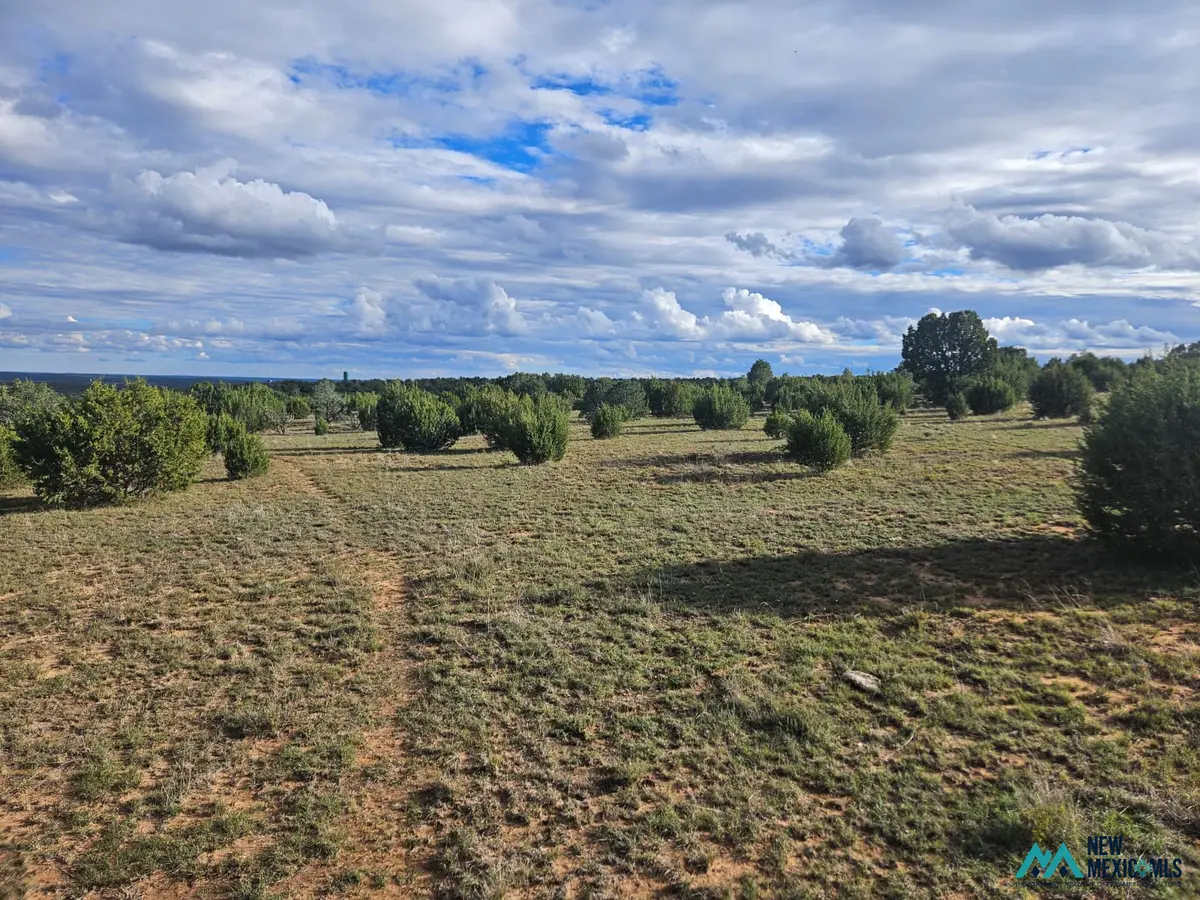 6240 County Rd B28a, Ribera, NM 87560 - #1