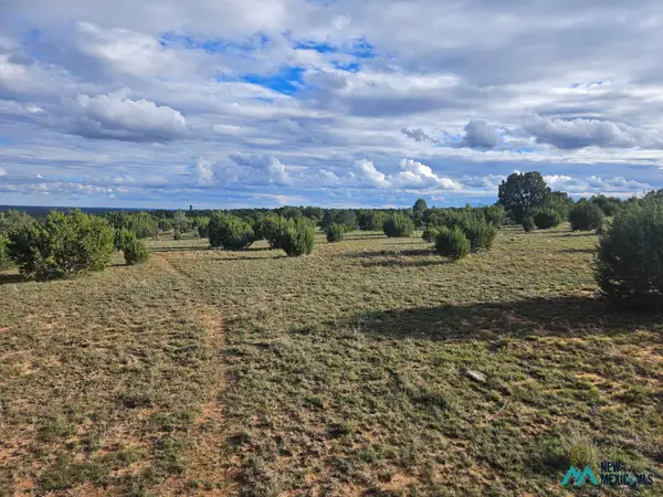 6240 County Rd B28a, Ribera, NM 87560