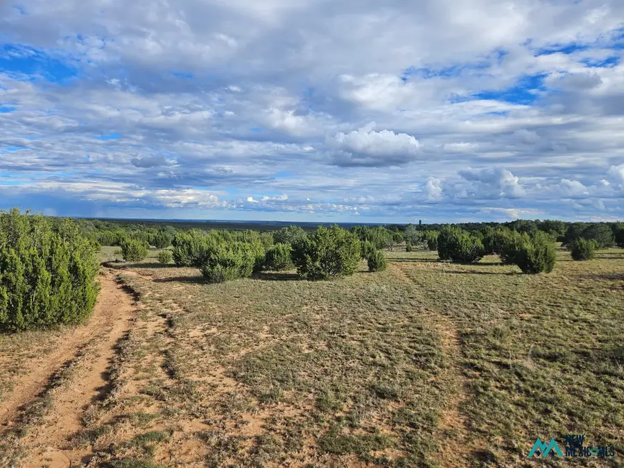 6240 County Rd B28a, Ribera, NM 87560 - #2