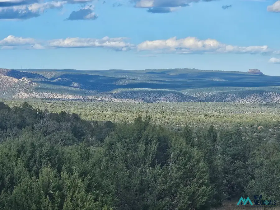6240 County Rd B28a, Ribera, NM 87560 - #3