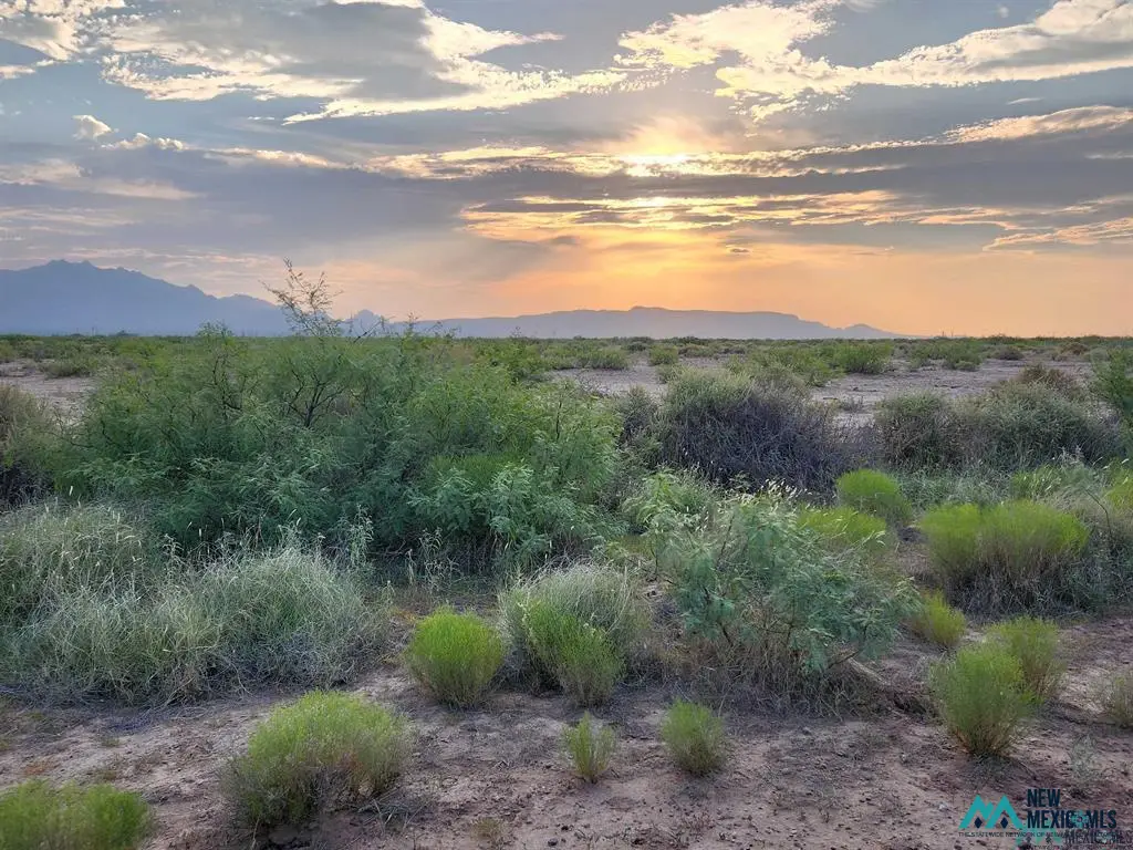 0 S Pierco, Deming, NM 88030 - #1
