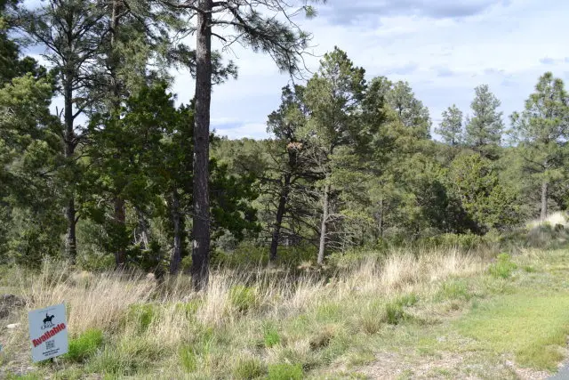 52B Bobby Jones Lane, Alto, NM 88312 - Image #2