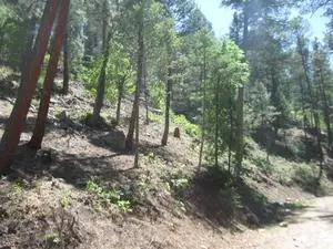 211 Camelot Drive, Ruidoso, NM 88345 - #1