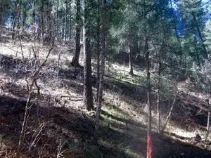 211 Camelot Drive, Ruidoso, NM 88345 - #2