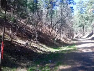 211 Camelot Drive, Ruidoso, NM 88345 - #3