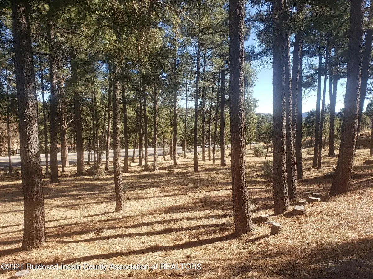 1119 Mechem Drive, Ruidoso, NM 88345 - #1