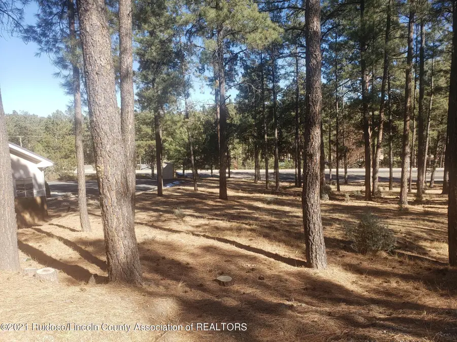 1119 Mechem Drive, Ruidoso, NM 88345 - #2