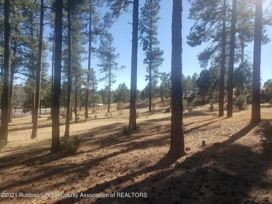 1119 Mechem Drive, Ruidoso, NM 88345 - #3