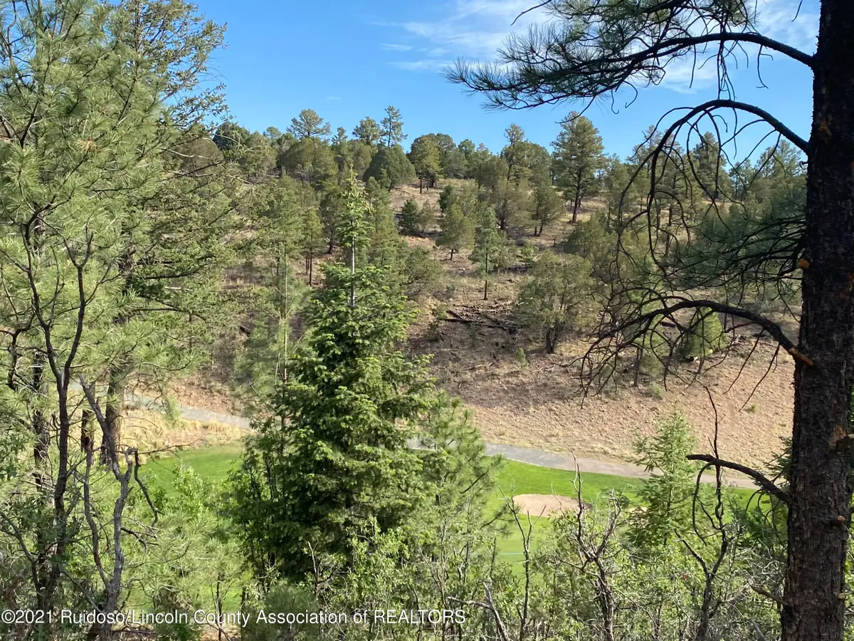 L26D Walter Hagan Drive, Alto, NM 88312 - Image #1