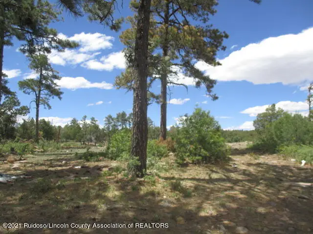 280 Indian Divide Road, Capitan, NM 88316 - #1