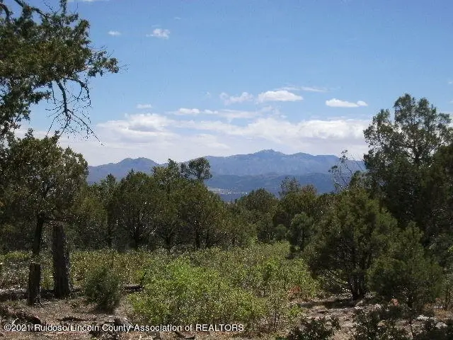 280 Indian Divide Road, Capitan, NM 88316 - #2