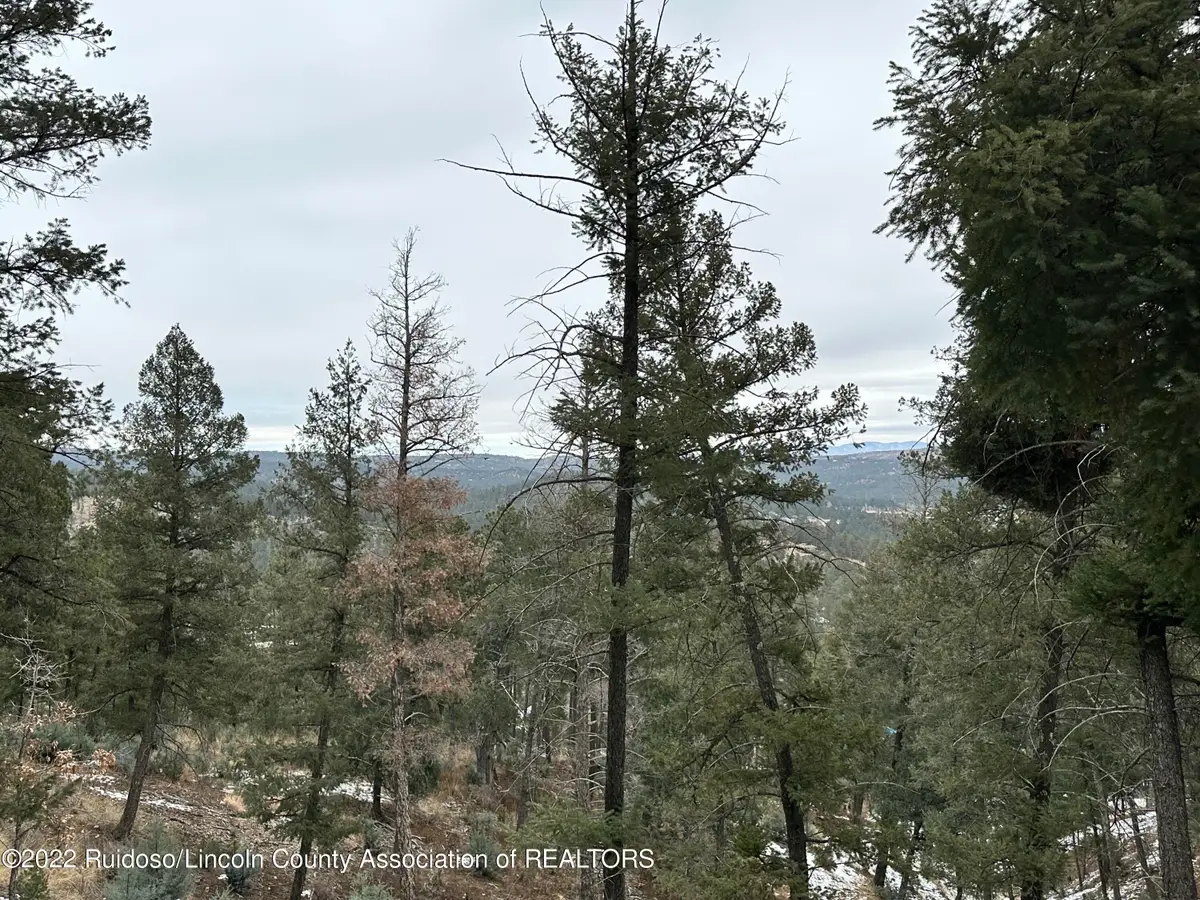 206 Mountain High Circle, Ruidoso, NM 88345 - Image #1