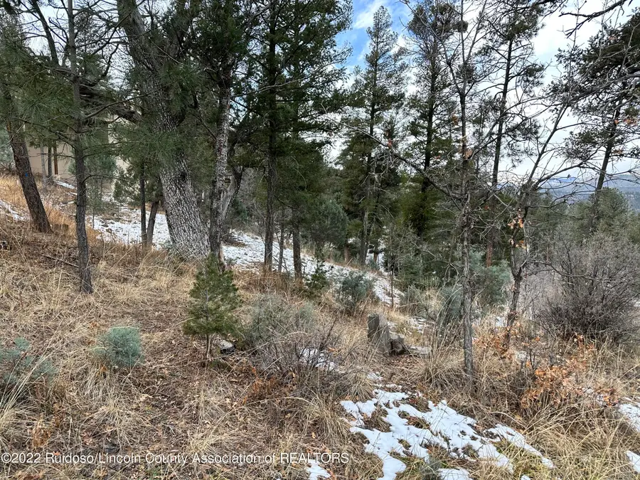 205 Sunrise Court, Ruidoso, NM 88345 - #3