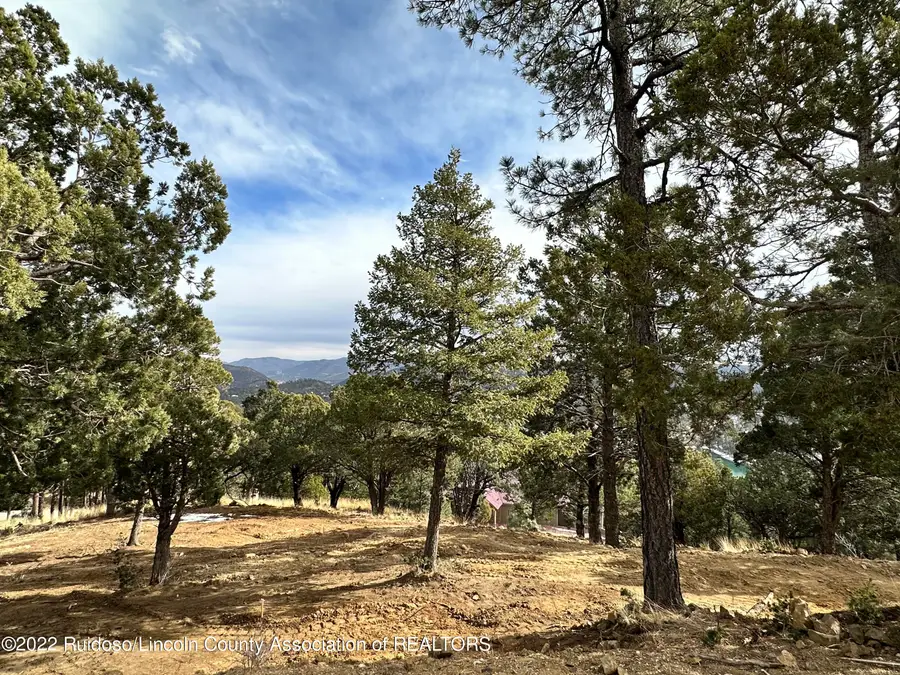 104 Middle Fork, Ruidoso, NM 88345 - #2