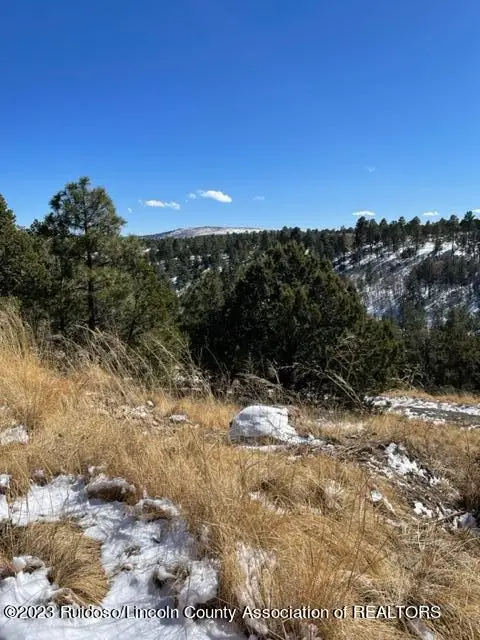 L1 High Ridge Trail, Alto, NM 88312 - Image #3
