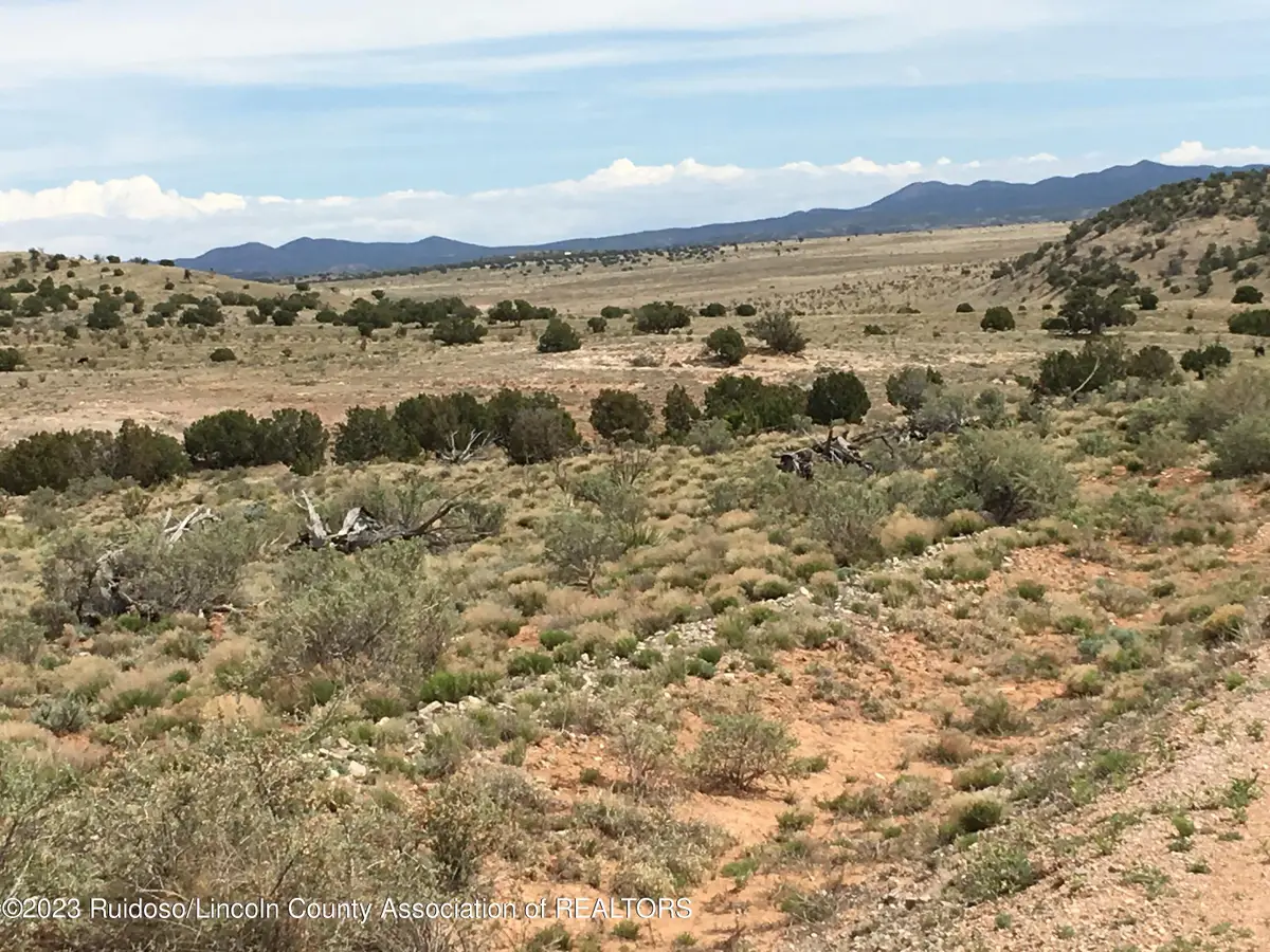 LT. 69 Fenceline Road, Carrizozo, NM 88301 - #1