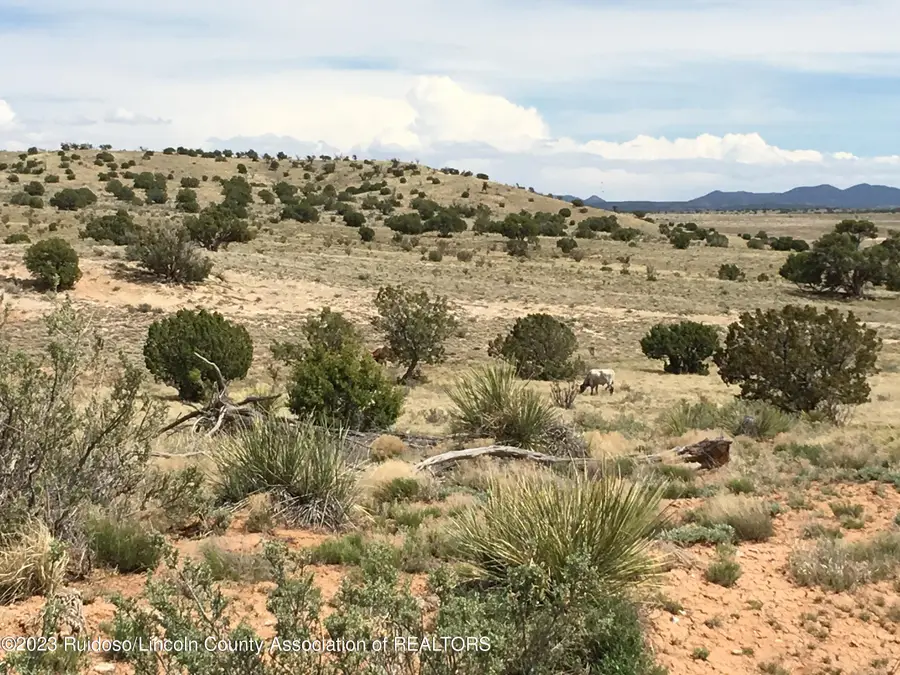 LT. 69 Fenceline Road, Carrizozo, NM 88301 - #2