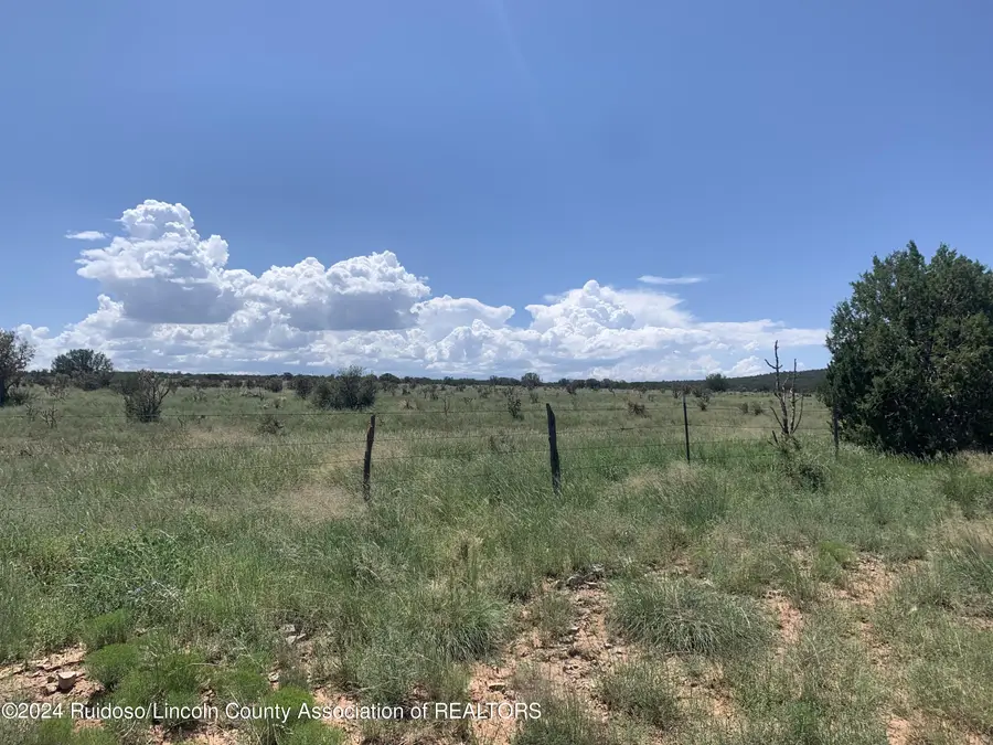 274 Rocking Bar Lane, Carrizozo, NM 88301 - Image #2