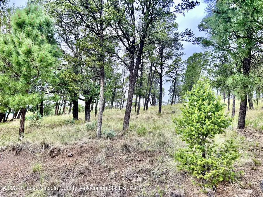 205 Hidalgo Street, Ruidoso, NM 88345 - #2