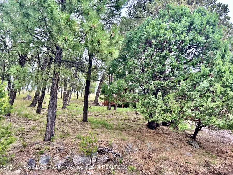 205 Hidalgo Street, Ruidoso, NM 88345 - #3