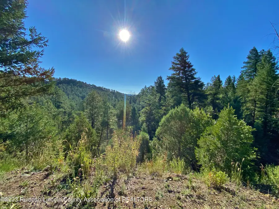 108-110 Beech Road, Ruidoso, NM 88345 - #3