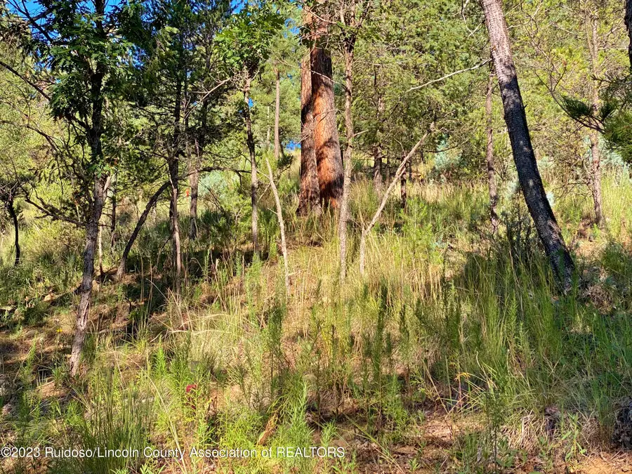 102-104 Beech Street, Ruidoso, NM 88345 - #3