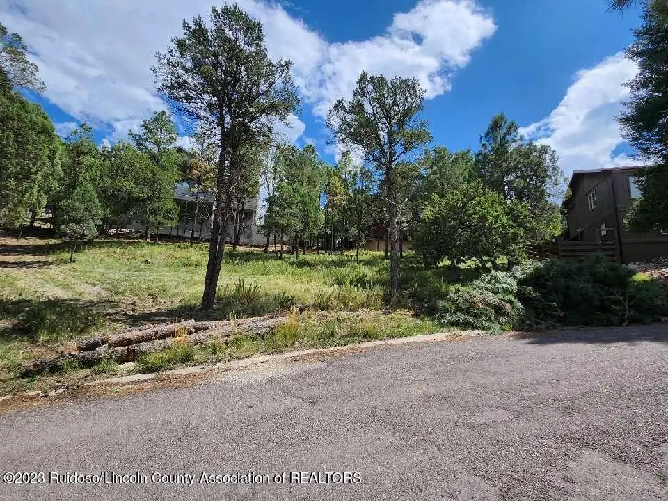 203 Marble Drive, Ruidoso, NM 88345 - #1
