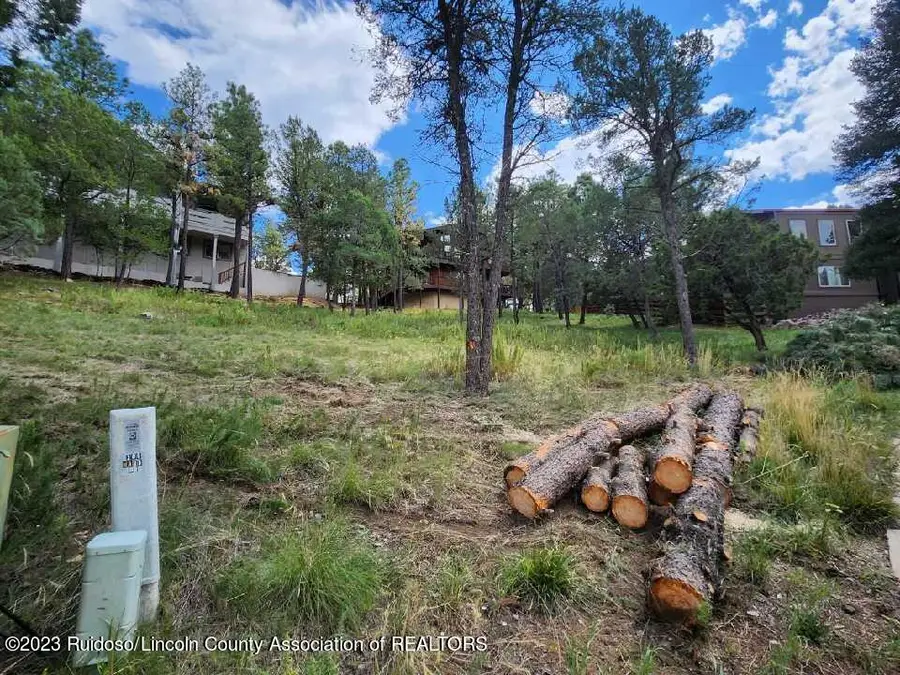 203 Marble Drive, Ruidoso, NM 88345 - #2