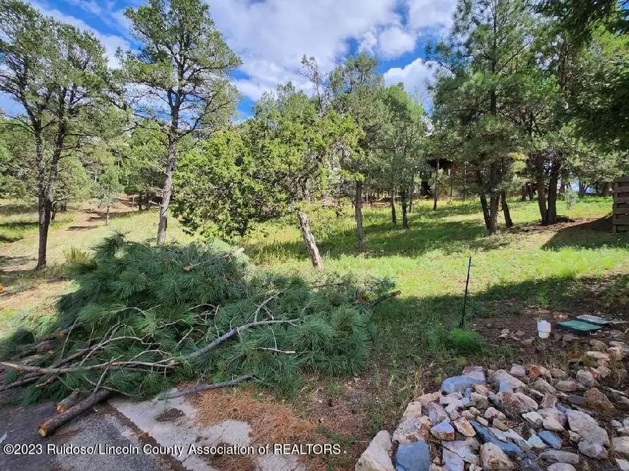 203 Marble Drive, Ruidoso, NM 88345 - #3