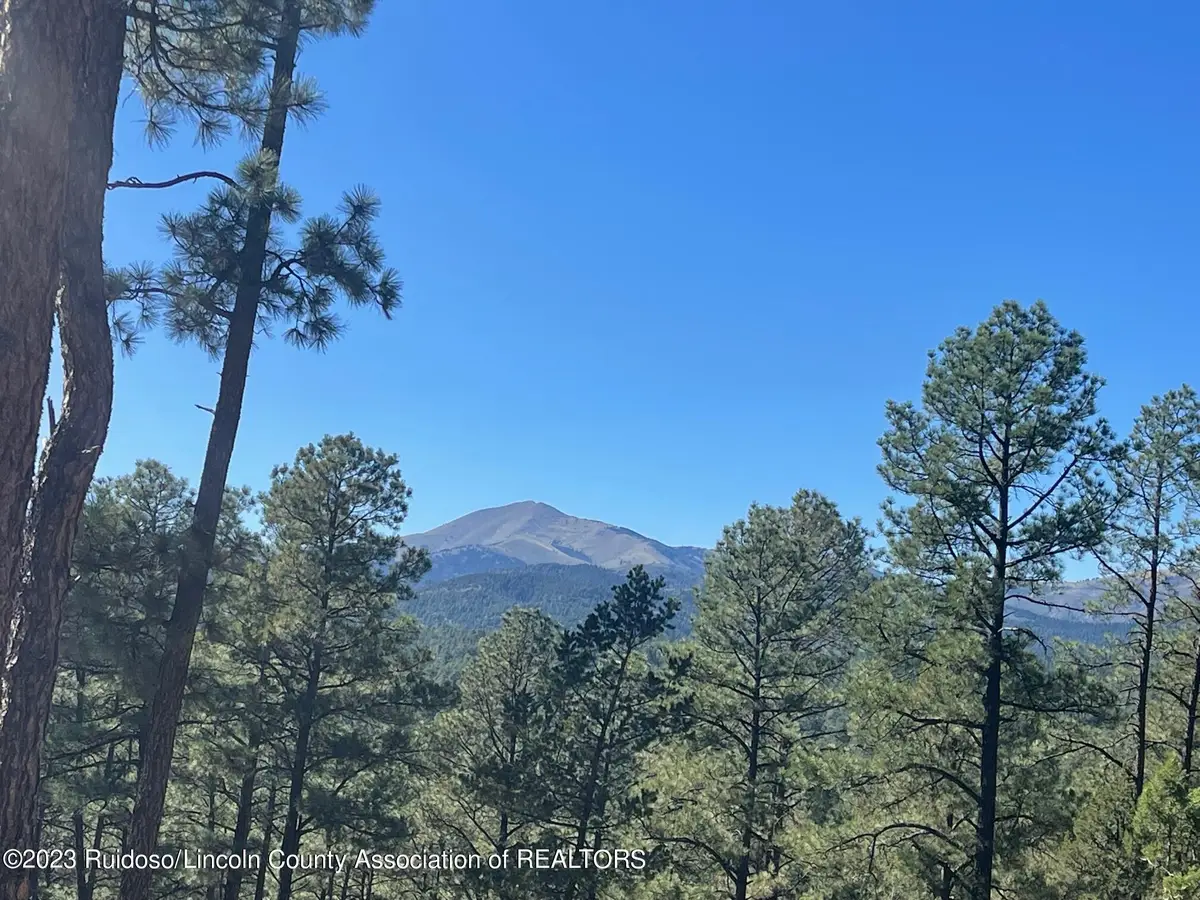 111 Poco Loco Drive, Ruidoso, NM 88345 - #1