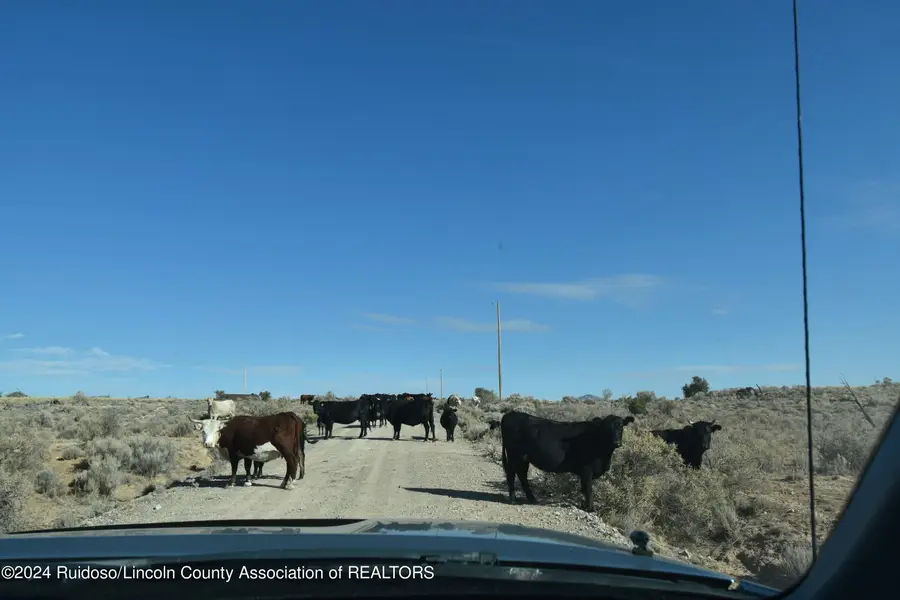 L155 Lantern Lane, Carrizozo, NM 88301 - Image #2