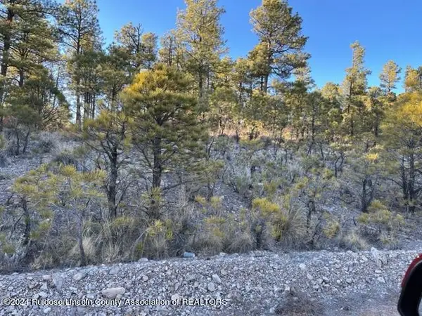 L16-17 Gemini Road, , NM 88350