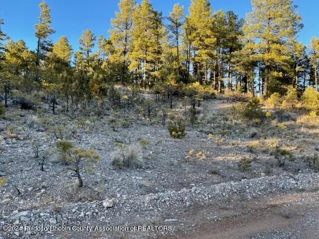 L16-17 Gemini Road, Timberon, NM 88350 - #2