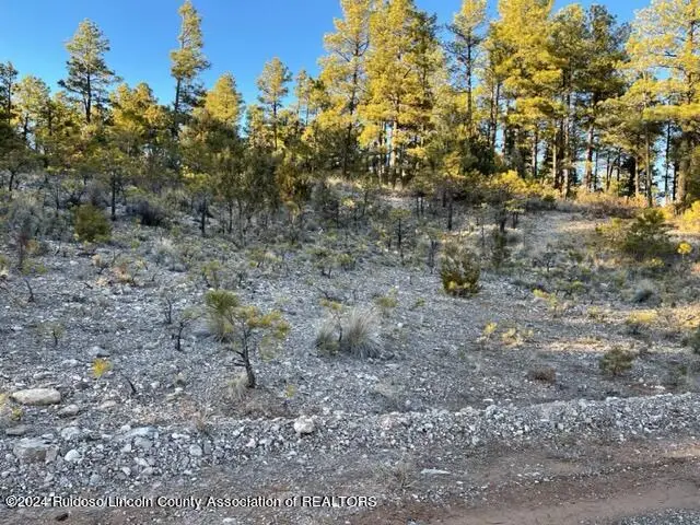 L16-17 Gemini Road, Timberon, NM 88350 - #3