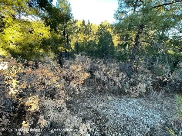 L1-2 & 45 Huff & Miles Loop, , NM 88350