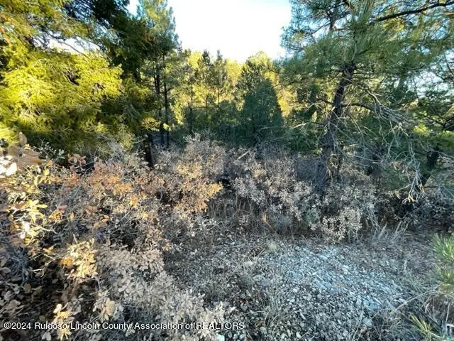 L1-2 & 45 Huff & Miles Loop, Timberon, NM 88350 - #2