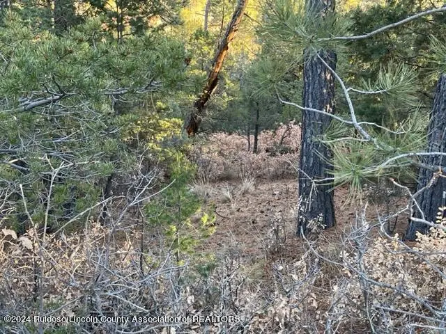 L1-2 & 45 Huff & Miles Loop, Timberon, NM 88350 - #3