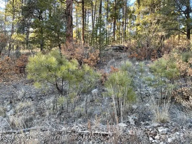 L2-4 Uranus, Timberon, NM 88350 - #1