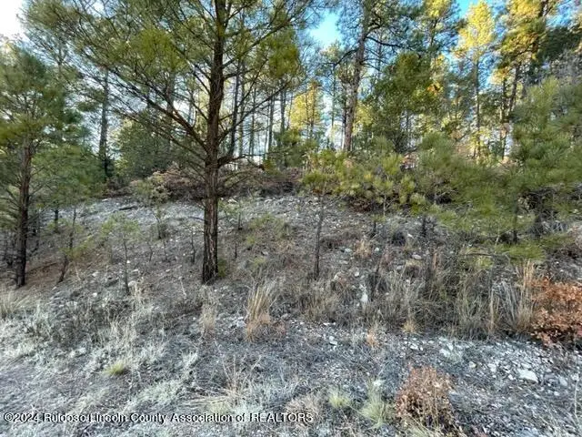 L2-4 Uranus, Timberon, NM 88350 - #2