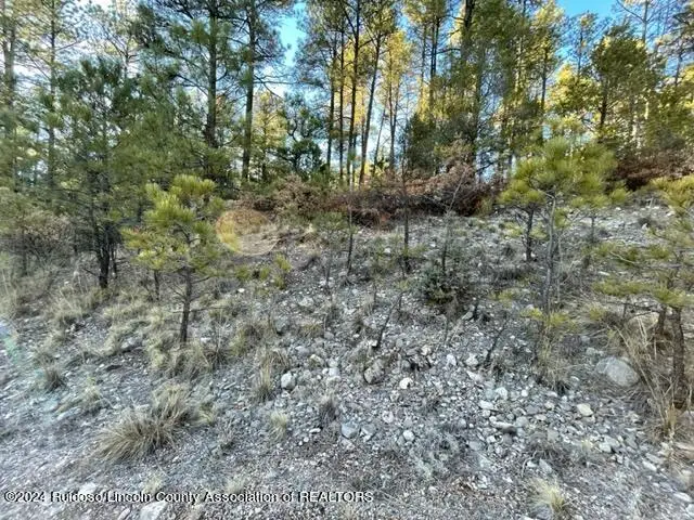 L2-4 Uranus, Timberon, NM 88350 - #3