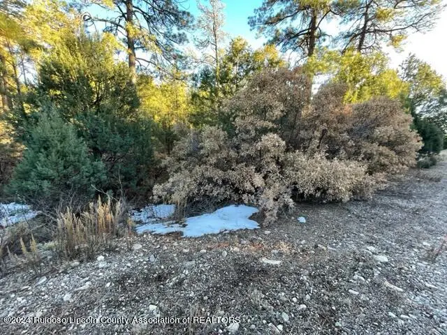 L36-37 Huff, Timberon, NM 88350 - #1