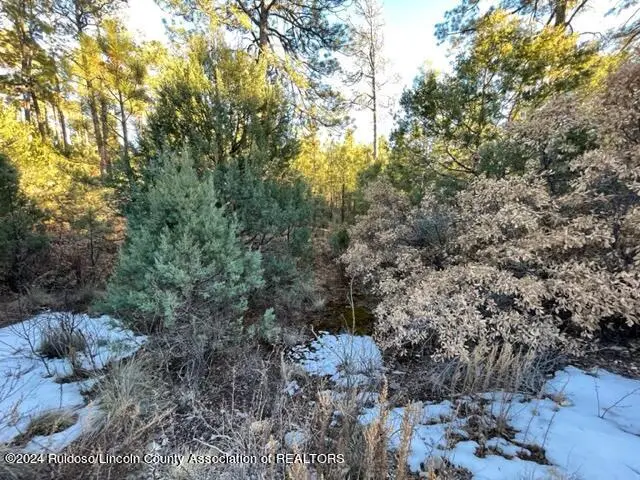 L36-37 Huff, Timberon, NM 88350 - #2