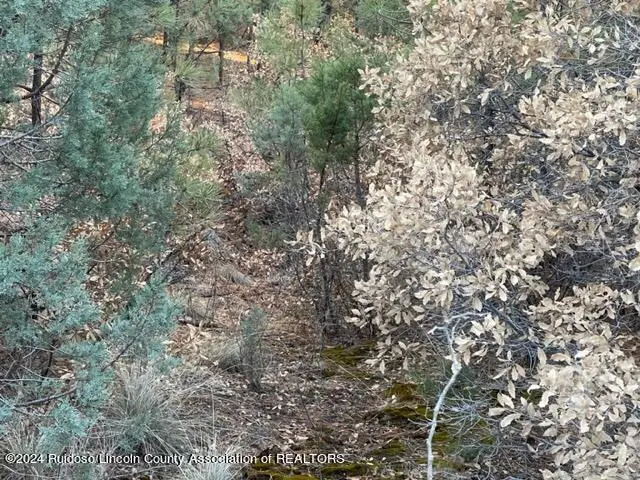 L36-37 Huff, Timberon, NM 88350 - #3