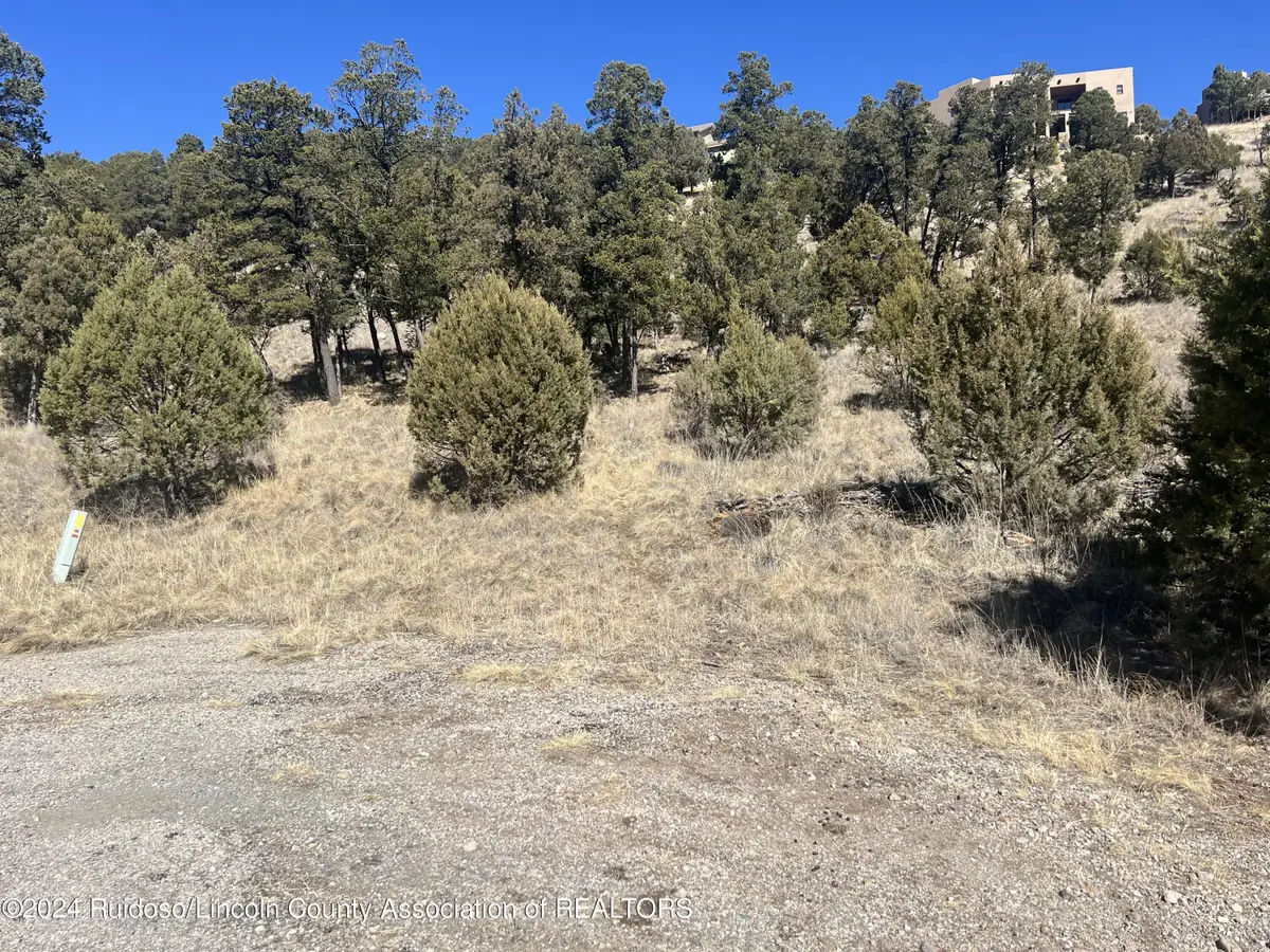 Lot T24D Chickadee Court, Alto, NM 88312 - Image #1