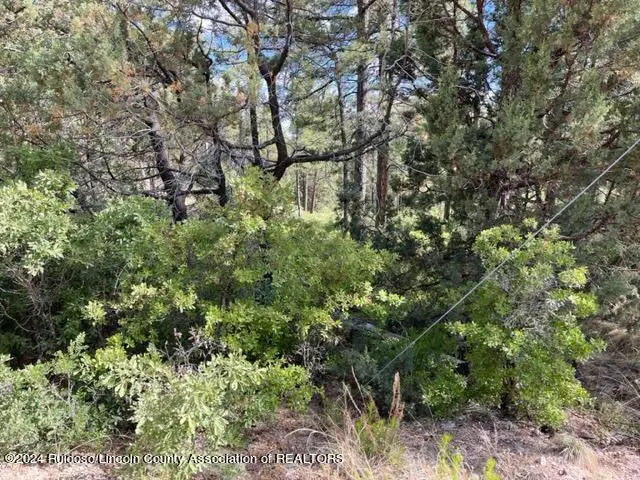 Lot 236 Malory Drive, Timberon, NM 88350 - #1