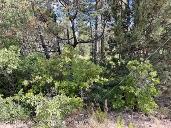 Lot 236 Malory Drive, , NM 88350