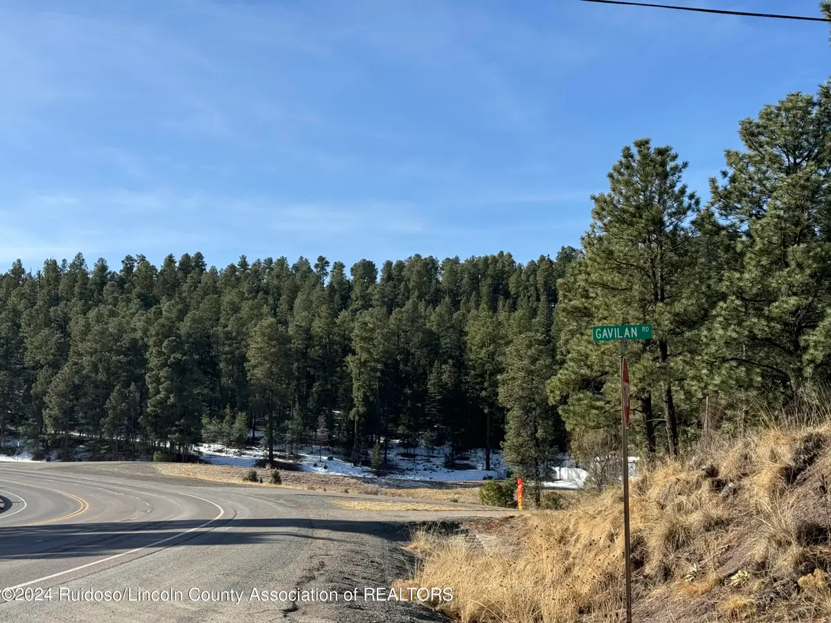 0 Nm-48, Ruidoso, NM 88345 - #1