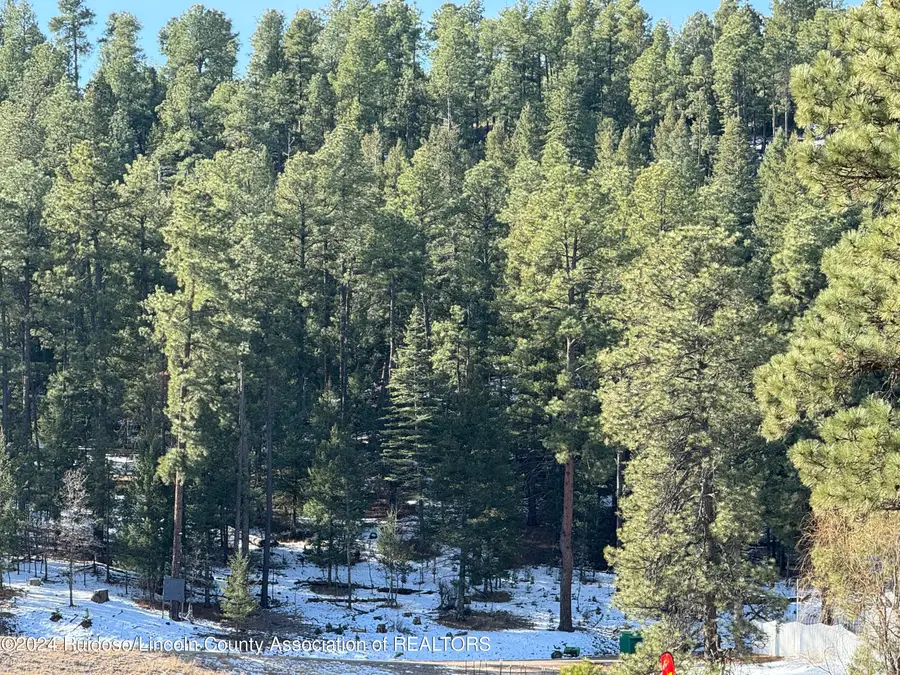 0 Nm-48, Ruidoso, NM 88345 - #2