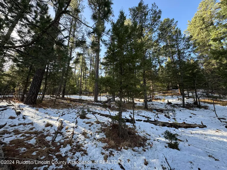 0 Nm-48, Ruidoso, NM 88345 - #3