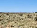 262 Fenceline, Carrizozo, NM 88301 - Image #1